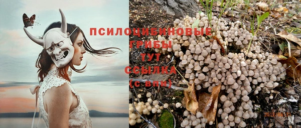 дмт Абинск