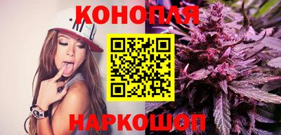 сатива Кунгур