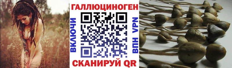 Галлюциногенные грибы MAGIC MUSHROOMS  Златоуст 