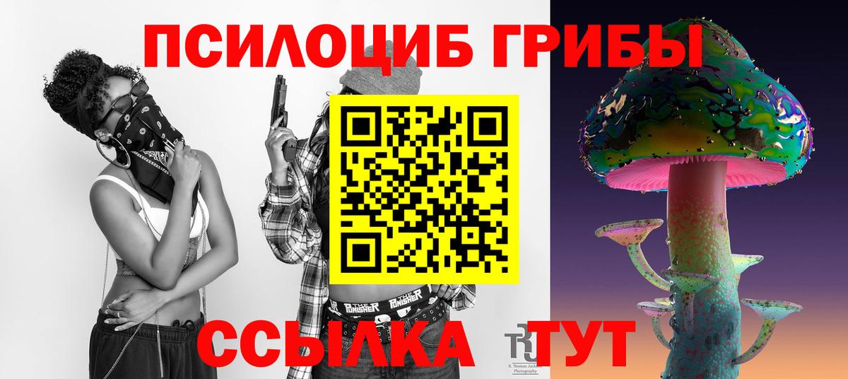 Златоуст  Галлюциногенные грибы Cubensis  Вход с VPN 