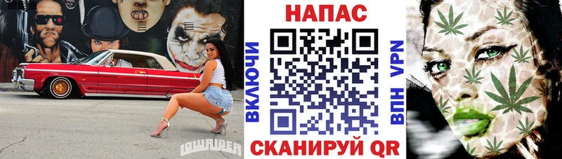 Шишки марихуана сатива  Златоуст 